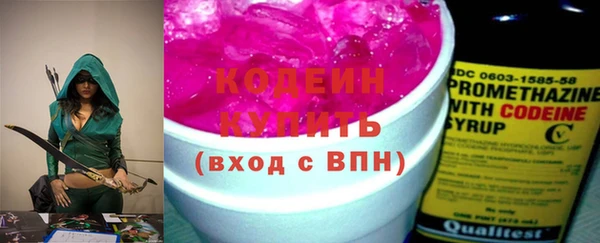 шишки Дмитриев