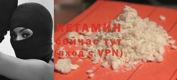 шишки Дмитриев