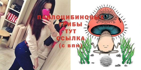 шишки Дмитриев