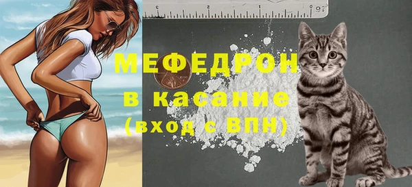 сатива Кущёвская