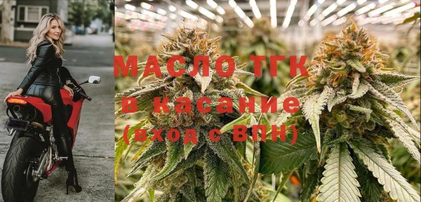 шишки Дмитриев