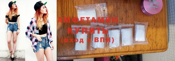 шишки Дмитриев