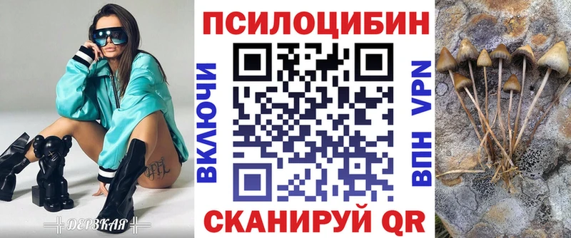Псилоцибиновые грибы мухоморы цены Нерюнгри