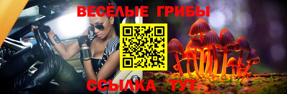 Галлюциногенные грибы GOLDEN TEACHER Нерюнгри