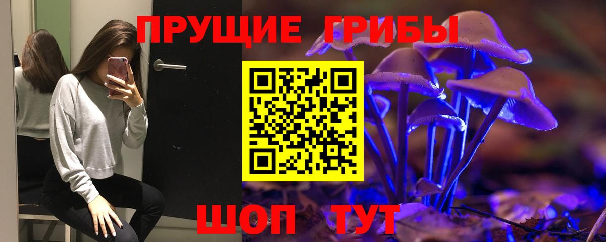 закладки  Псилоцибиновые грибы Cubensis  Нерюнгри  Псилоцибиновые грибы MAGIC MUSHROOMS 